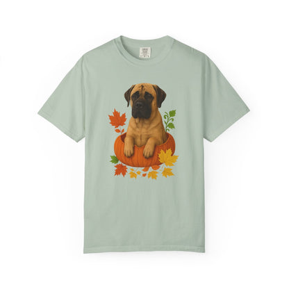 Mastiff in Pumpkin Fall Shirt, Cute Autumn Dog Tee for Mastiff Moms and Big Dog Lovers