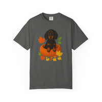 Load image into Gallery viewer, Dachshund in Pumpkin Fall Shirt, Cute Autumn Wiener Dog Tee for Dog Lovers
