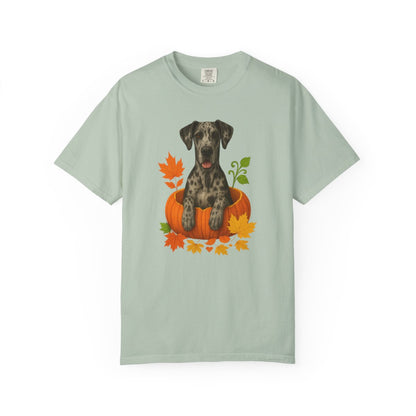Merle Great Dane Pumpkin Shirt, Fall Dog Lover Tee on Comfort Colors 1717