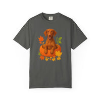 Load image into Gallery viewer, Vizsla Pumpkin Shirt, Cute Fall Dog Lover Tee with Vizsla and Autumn Leaves
