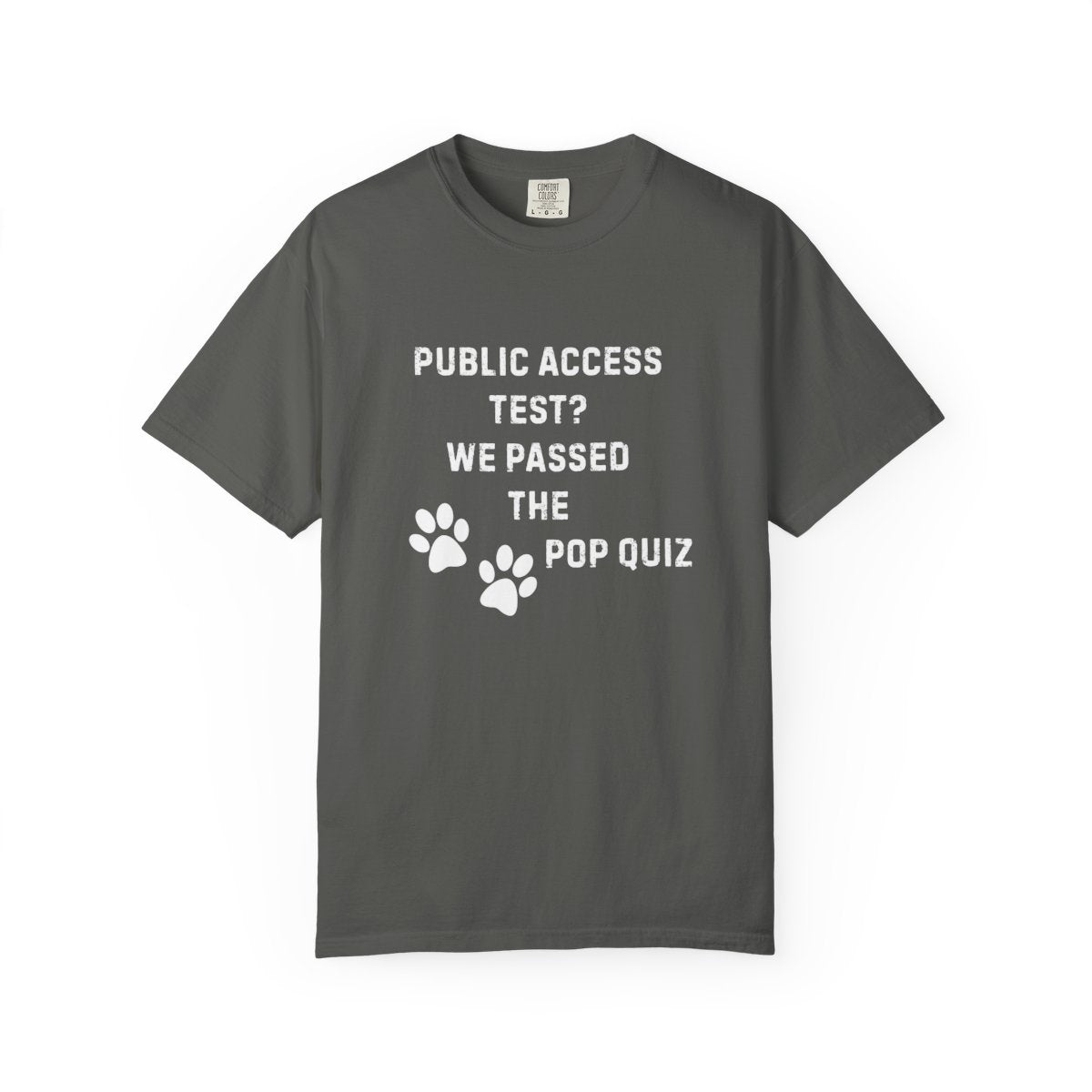 Public Access Test? We Passed the Pop Quiz T-Shirt | Service Dog Handler Tee | Comfort Colors 1717