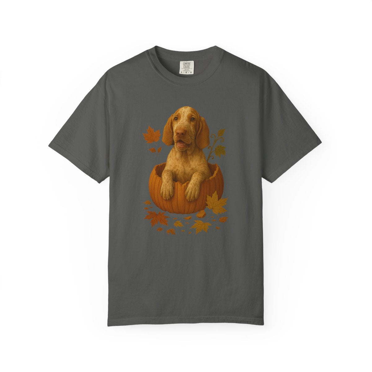 Bracco Italiano in Pumpkin Fall Shirt, Cute Autumn Dog Tee for Bracco Lovers