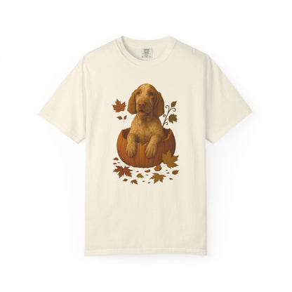 Bracco Italiano in Pumpkin Fall Shirt, Cute Autumn Dog Tee for Bracco Lovers