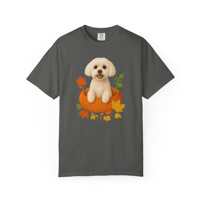 Maltese in Pumpkin Fall Shirt, Cute Autumn Dog Tee for Maltese Moms and Pet Lovers