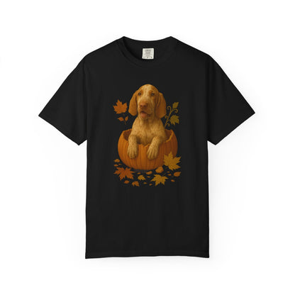 Bracco Italiano in Pumpkin Fall Shirt, Cute Autumn Dog Tee for Bracco Lovers