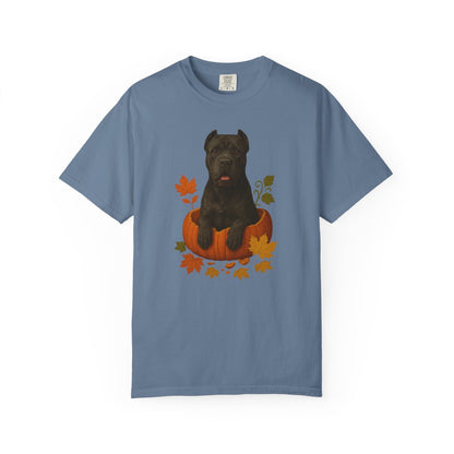 Cane Corso Pumpkin Fall T-Shirt, Cute Autumn Dog Lover Tee & Thanksgiving Gift