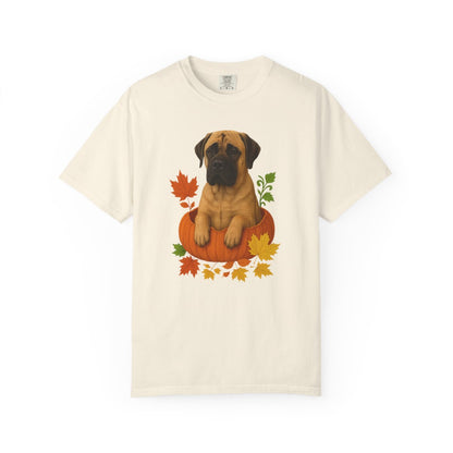 Mastiff in Pumpkin Fall Shirt, Cute Autumn Dog Tee for Mastiff Moms and Big Dog Lovers