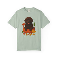 Load image into Gallery viewer, Brown Newfoundland Pumpkin Shirt, Fall Dog Lover Tee on Comfort Colors 1717
