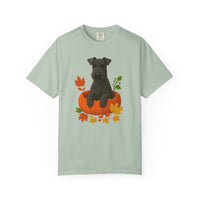 Load image into Gallery viewer, Kerry Blue Terrier in Pumpkin Fall Shirt, Cute Autumn Dog Tee for Terrier Lovers
