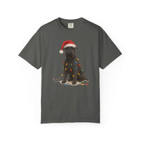 Load image into Gallery viewer, Kerry Blue Terrier Christmas Lights Shirt, Festive Holiday Tee for Terrier Lovers
