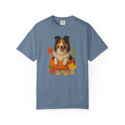 Collie in Pumpkin Fall Shirt, Cute Autumn Dog Tee for Rough Collie Lovers